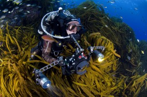 Pristine Seas helps find, survey, and protect the last wild places in the ocean, Enric Sala, National Geographic